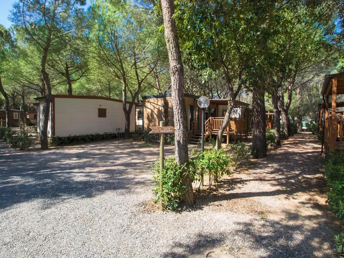 Holiday Home Gineprino-12 By Interhome Marina Di Bibbona